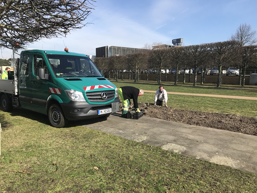 Pflanzaktion in der Gärten im Wandel