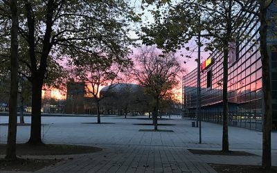 PLaza 2020: Das Jubelfestival