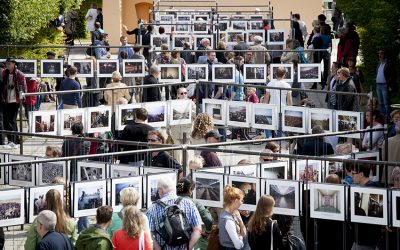 Lumix-Festival No. 7: Es geht los