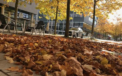 Lockdown II: Stillstand auch im Expo Park