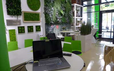 Expo-Lounge – es geht wieder los