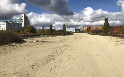 Rätsel um Mergelstraße ist gelöst