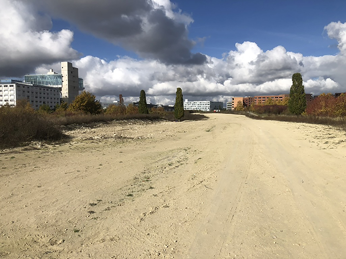 Mergelstraße zerschneidet Landschaftspark