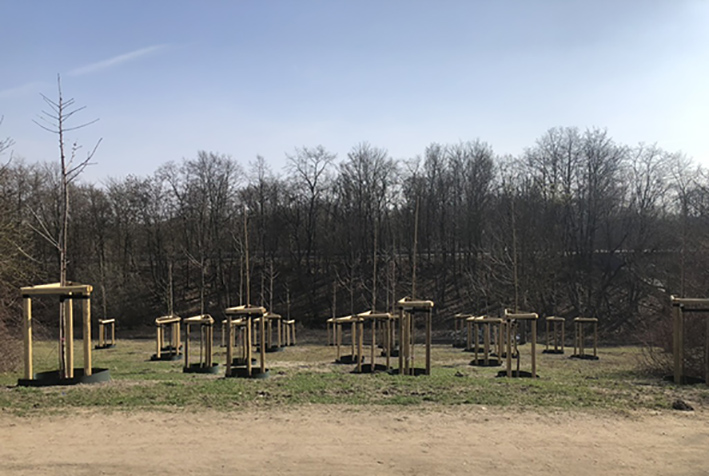 Den Teeny-Weenies-Bäumen geht es gut