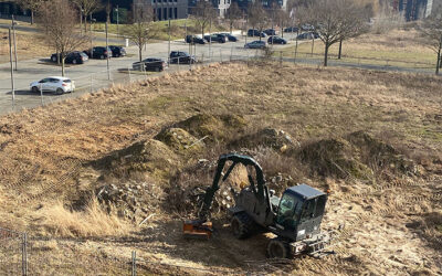 Das große Aufräumen